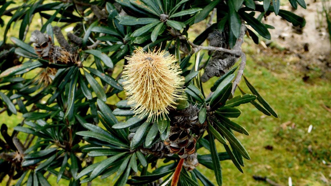 43 Degrees Bruny Island Apartamento Adventure Bay Exterior foto